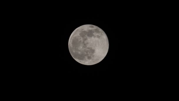 Full Worm Moon Visto Desde Hertford Heath Reino Unido 2023 — Vídeo de stock