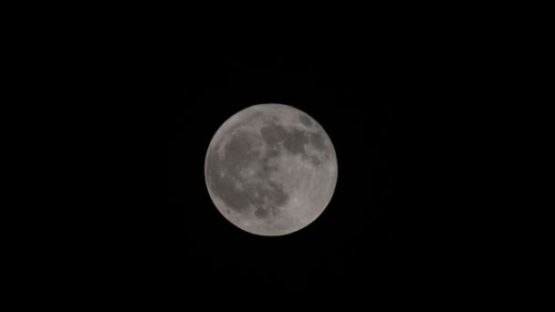 Lua Cheia Flor Maio 2023 Visto Hertford Heath Reino Unido — Vídeo de Stock