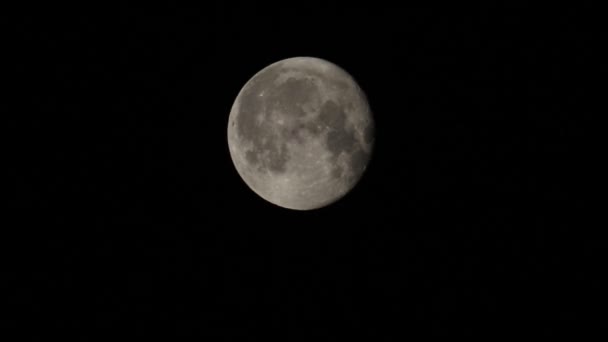 Full Buck Moon Seen Hertford Heath — Stock Video