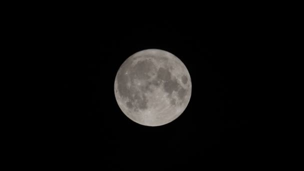 2023年8月30日在英国赫特福德希思看到的全蓝色超级月亮 — 图库视频影像