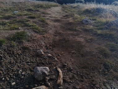 Dağlardaki tarladan