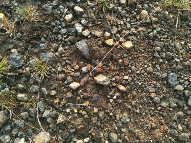 Toprağın arkaplan dokusu çakıl ve taşlarla