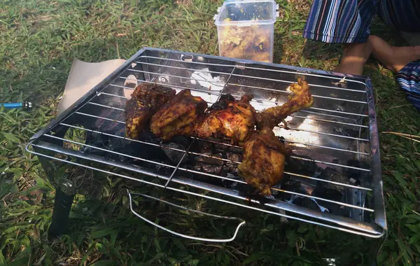 Çok lezzetli ızgara ve baharatlı tavuk pirzolası piknikte.