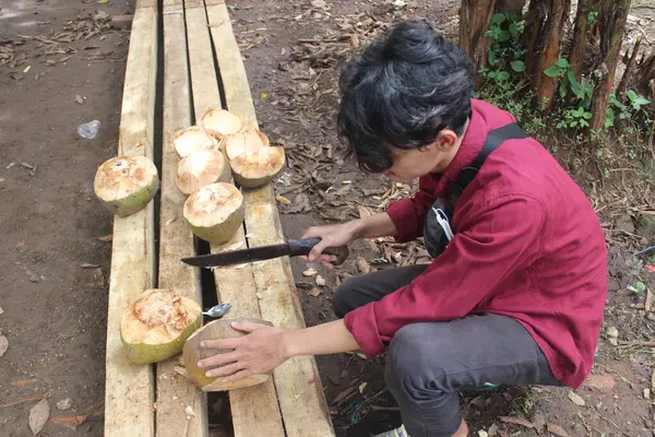 Purwakarta, Endonezya 12.2021: genç bir hindistan cevizini bölmeye çalışan bir adam