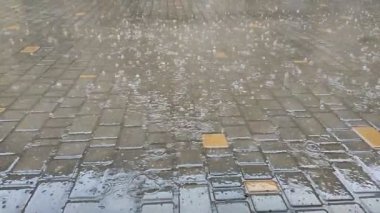 Bir sonbahar gününde kaldırım taşına damlayan yağmurun yavaş hareketi..