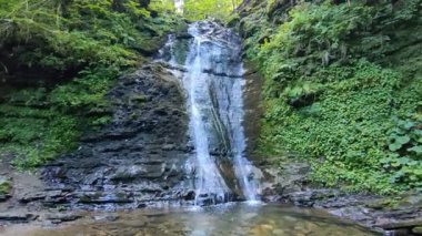 Dağ nehirlerinden orman şelaleleri