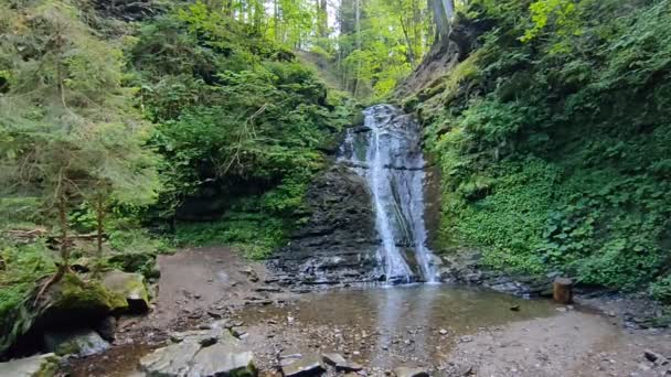 Waldwasserfälle Aus Gebirgsflüssen — Stockvideo