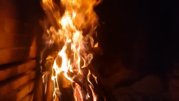 Lagerfeuerflamme Zeitlupe Die Flamme Des Feuers Das Nächtliche Feuer Baumstämme — Stockvideo