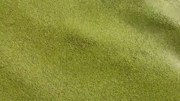 Contexte Des Algues Vertes Surface Eau Balançant Sur Les Ondes — Video
