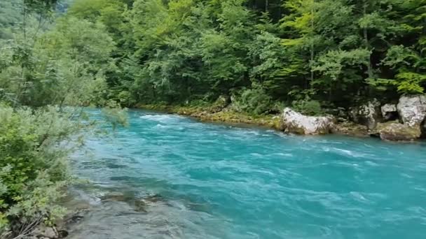Mountain River Tara Turquoise Forest Fjellskråningene Montenegro Den Største Kløften – stockvideo