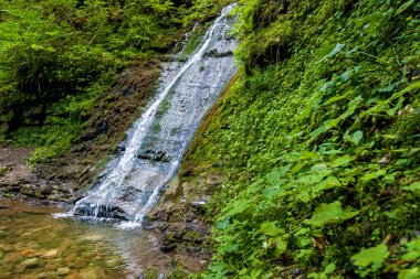 Dağ nehirlerinden orman şelaleleri