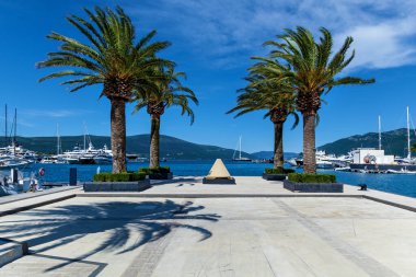 Marina Porto Karadağ 'a Tivat Karadağ' da palmiye ağaçları döşedi