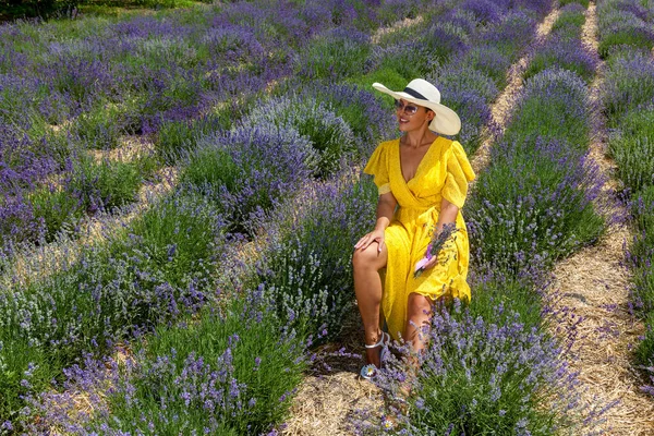 幸福的女人在花丛薰衣草旁 穿着黄色衣服 头戴紫色薰衣草花冠 笑容满面的年轻漂亮女子的画像 — 图库照片