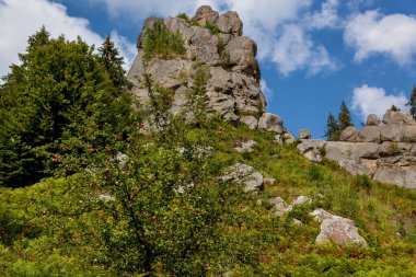 Eski kalenin kalıntıları, tarihin, arkeolojinin, mimarinin ve doğanın eşsiz bir anıtı. 9.-16. yüzyılların eski Rus kayalık savunma kompleksi. Tustan, Ukrayna