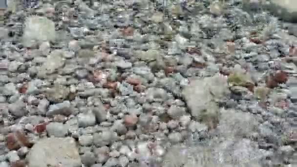 在阳光灿烂的日子里 在清澈的水面下 背景上有多彩的石头 — 图库视频影像