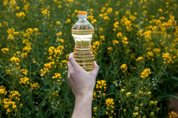 Man Hand Holds Bottle Rapeseed Oil Background Yellow Rapeseed Flowers — Stock Photo, Image