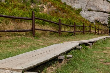 Çimenli arazinin üzerinde yükselen uzun tahta patika, kırsal ahşap bir çitle çevrili, eğreltiotu ve kayalık uçurumlarla çevrili, doğal gün ışığı altında.