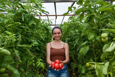 Bir kız elinde domates yataklarının arka planında beş tane kırmızı domates tutuyor.
