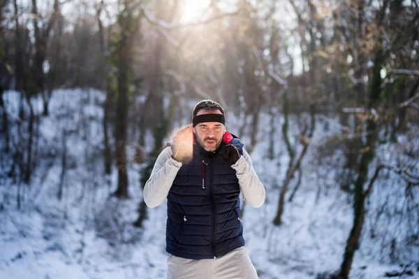Boxer Allena Nel Parco Inverno Sta Lavorando Sulla Sua Forma — Foto Stock