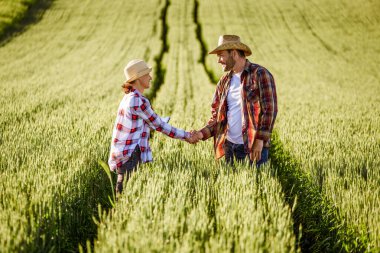Man and woman are working together. They are cultivating wheat.