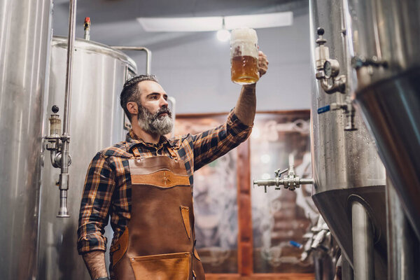 Bearded brewery master holding glass of beer and evaluating its visual characteristics. Small family business, production of craft beer.