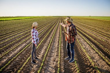 Erkek ve kadın ortak olarak çiftçilik yapıyorlar. Soya fasulyesi yetiştiriyorlar..
