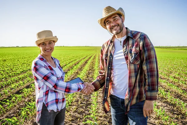 stock image Man and woman are working together in partnership. They are cultivating corn.