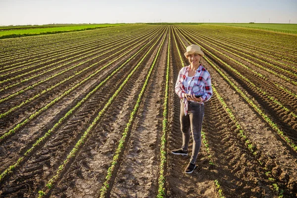 Farmářka Pěstuje Své Půdě Sóju Spokojena Raným Vývojem Rostlin — Stock fotografie