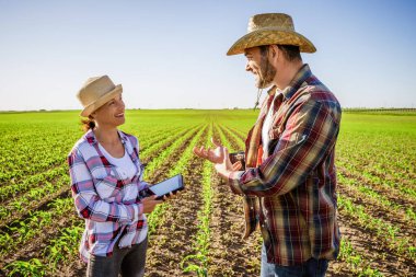 Erkek ve kadın ortaklaşa çalışıyorlar. Mısır yetiştiriyorlar..