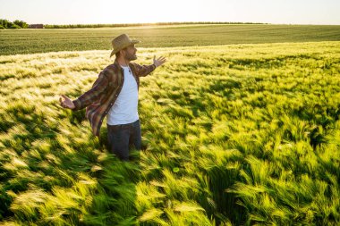 Çiftçi arpa yetiştiriyor. İyi bir sezon geçirdiği için memnun..
