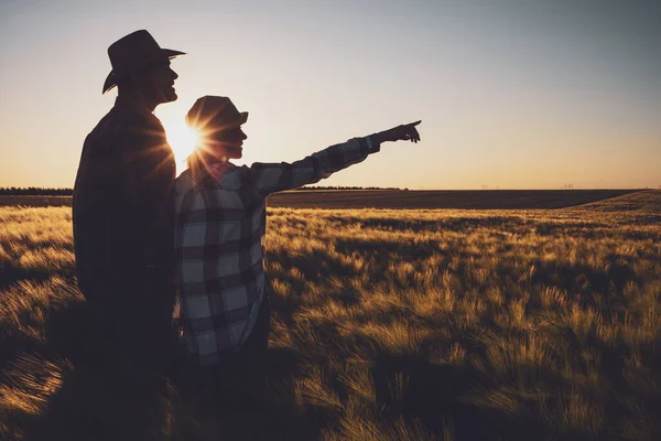 男と女が畑に立っている 大麦を栽培している — ストック写真