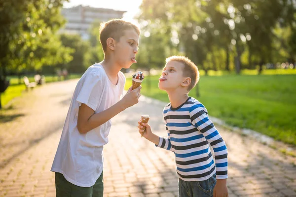 Dois Irmãos Estão Comer Gelado Parque Verão Eles Estão Divertindo — Fotografia de Stock