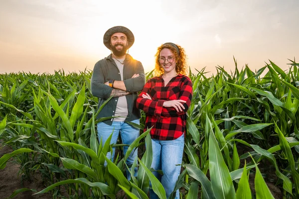 Rodinné Zemědělské Povolání Muži Ženy Pěstují Kukuřici Jsou Spokojeni Dobrým — Stock fotografie