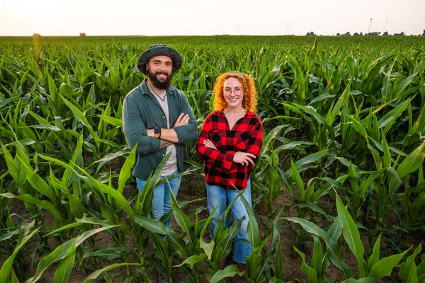 stock image Family agricultural occupation. Man and woman are cultivating corn. They are satisfied with good progress of plants.