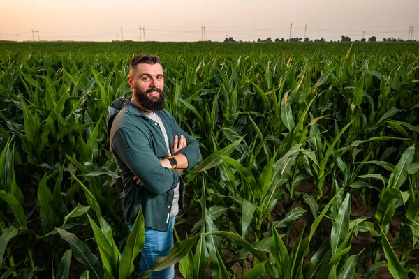 Portrét Farmáře Který Pěstuje Kukuřici Spokojen Dobrým Vývojem Rostlin Zemědělská — Stock fotografie