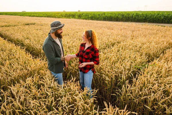 Muži Ženy Pěstují Pšenici Partnerství Jsou Spokojeni Dobrým Vývojem Rostlin — Stock fotografie