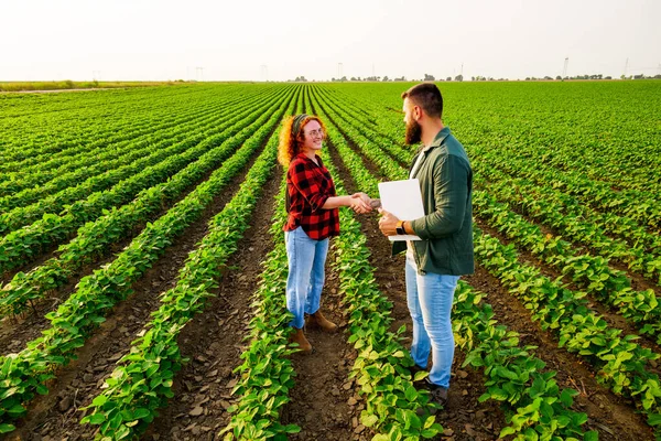Rodinné Zemědělské Povolání Muži Ženy Pěstují Sóju Jsou Spokojeni Dobrým — Stock fotografie