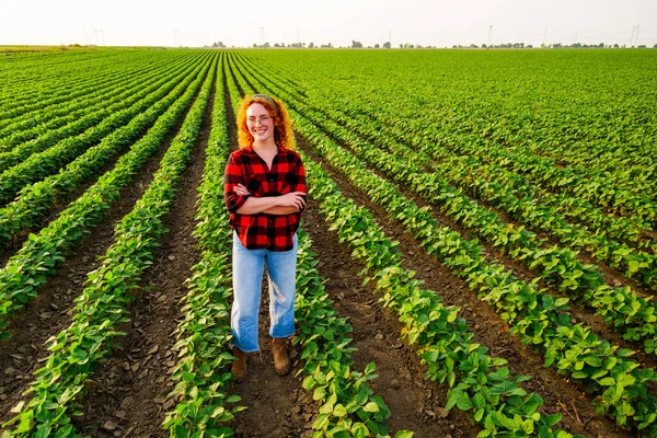 Портрет Женщины Фермера Выращивающей Сою Довольна Хорошим Прогрессом Растений Сельское — стоковое фото
