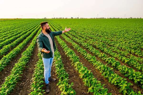 Portrét Farmáře Který Pěstuje Sóju Spokojen Dobrým Vývojem Rostlin Zemědělská — Stock fotografie