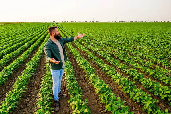 COLHEITA FELIZ : A PLANTAÇÃO DE PIMENTA QUASE NÃO VINGOU! 