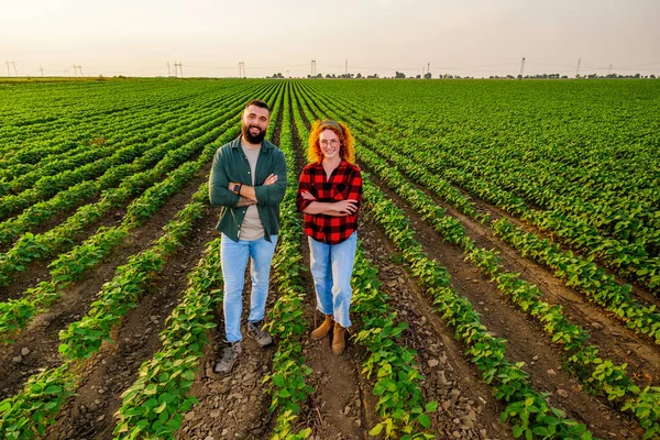 Rodinné Zemědělské Povolání Muži Ženy Pěstují Sóju Jsou Spokojeni Dobrým — Stock fotografie