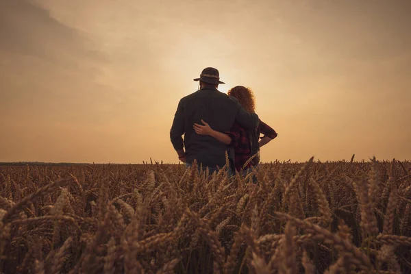 男と女が日没に農場に立っている 小麦を栽培し 良い農業の季節を楽しんでいます — ストック写真