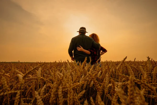 日落时分 男人和女人都站在他们的农田里 他们在种植小麦 享受着良好的农耕季节 — 图库照片