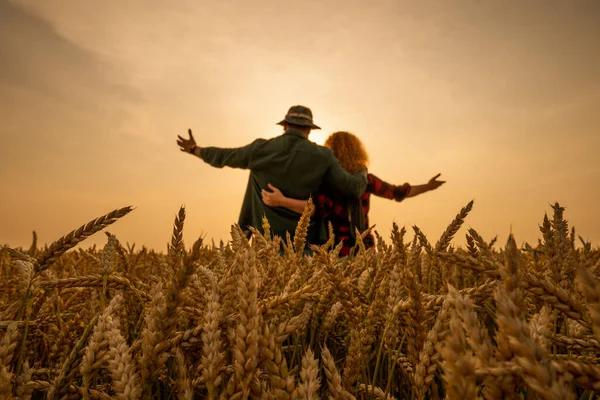 幸せな男と女は日没時に彼らの農地に立っている 小麦を栽培し 良い農業の季節を楽しんでいます — ストック写真