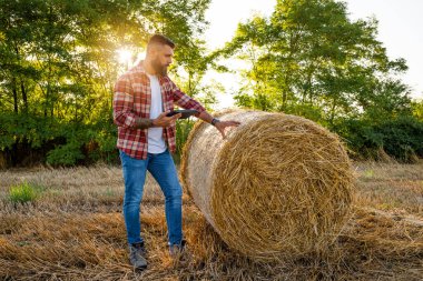 Çiftçi saman balyalarının yanında duruyor. Hasadı başarıyla tamamladıktan sonra samanı inceliyor..