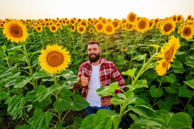 Happy farmer is standing in his sunflower field which is in blossom. He is happy because of good season and good progress of the plants.