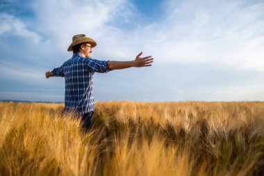 Buğday tarlasında mutlu bir çiftçinin portresi. Ekinlerden memnun..