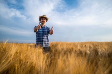 Buğday tarlasında mutlu bir çiftçinin portresi. Ekinlerden memnun..