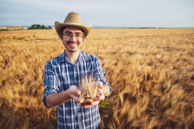 Buğday tarlasında mutlu bir çiftçinin portresi. Ekinlerden memnun..