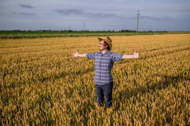 Mutlu çiftçi buğday tarlasında duruyor.